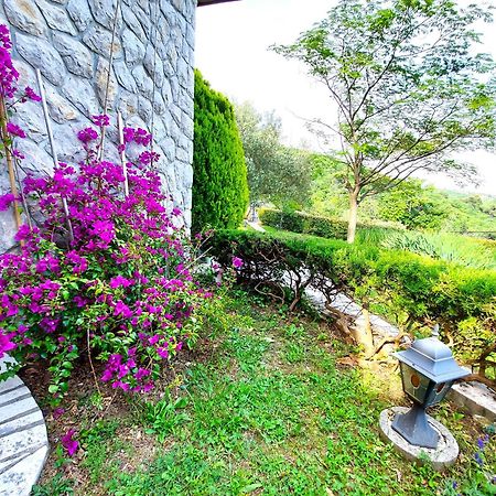 Apartment Mediterranean Garden Rijeka Dış mekan fotoğraf