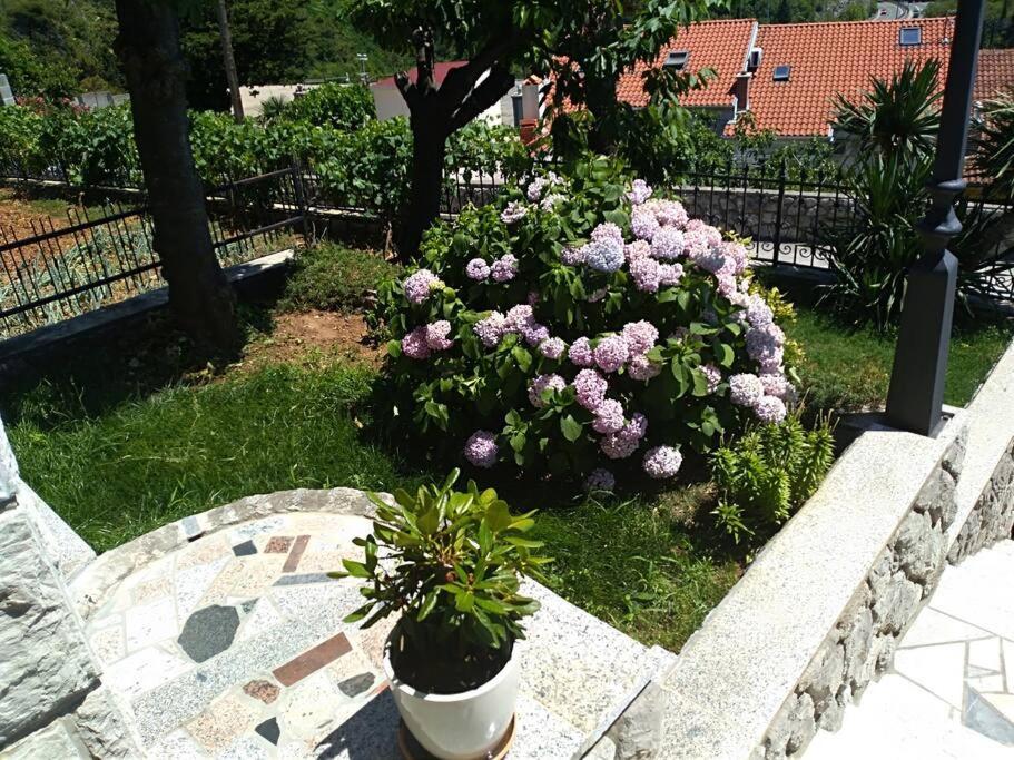 Apartment Mediterranean Garden Rijeka Dış mekan fotoğraf