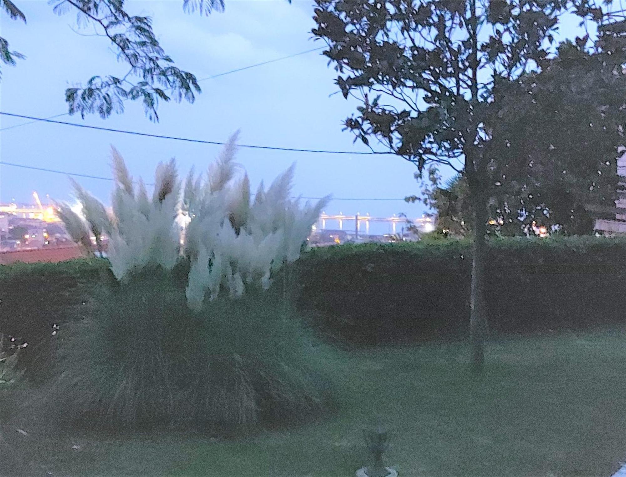 Apartment Mediterranean Garden Rijeka Dış mekan fotoğraf