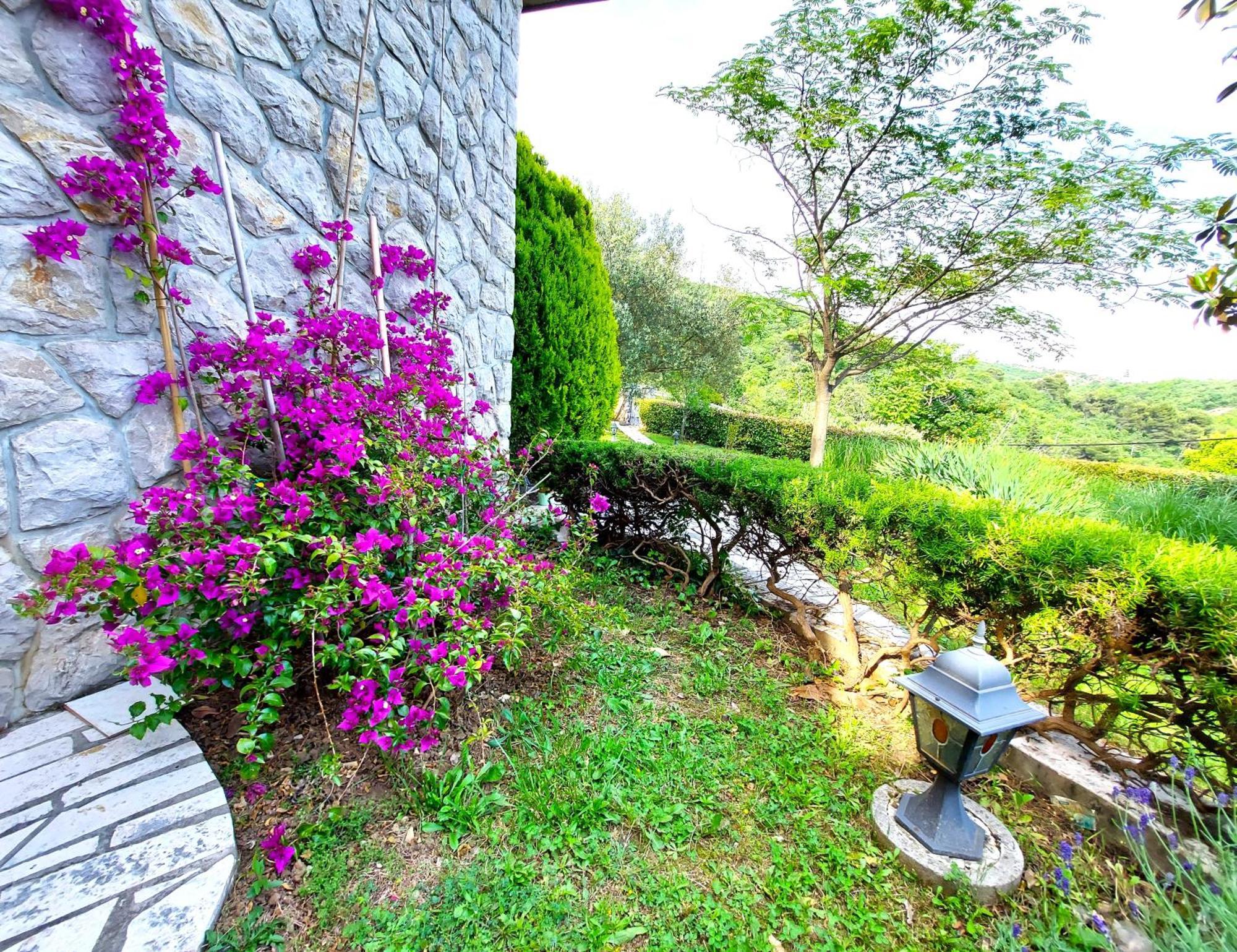 Apartment Mediterranean Garden Rijeka Dış mekan fotoğraf